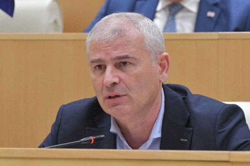 ირაკლი ქადაგიშვილი ჩორჩანას ეპიზოდზე: გახარია გადაწყვეტილებებს გარკვეულწილად ერთპიროვნულად იღებდა და არის სერიოზული ეჭვი, რომ მას კონსულტაცია არა საკუთარ მთავრობასთან და მმართველ გუნდთან, არამედ გარე ძალებთან ჰქონდა