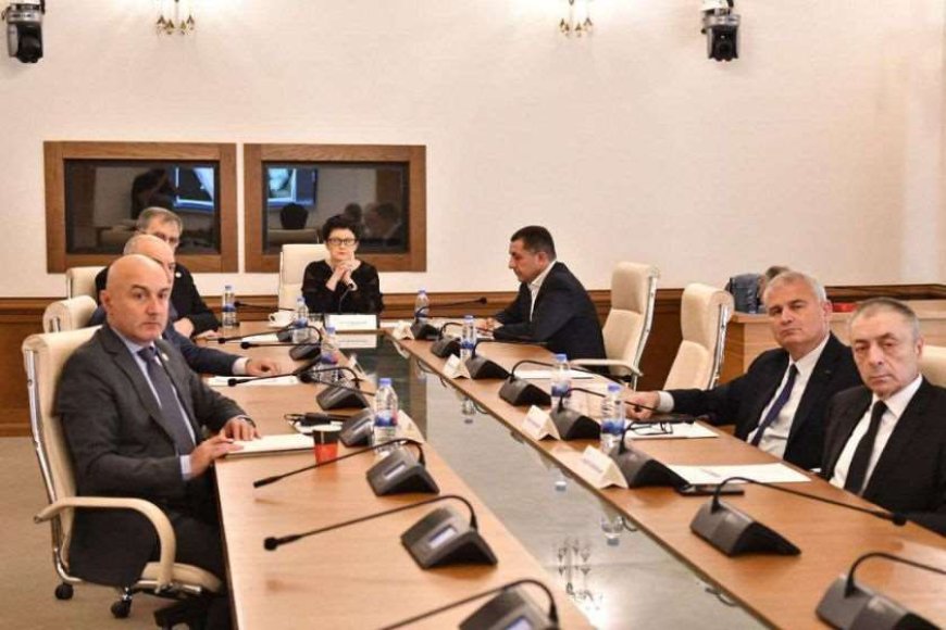პოლიტიკური ოპონენტებისა და ახალგაზრდების სადამსჯელო ოპერაცია - საგამოძიებო კომისიის დღევანდელი სხდომის დეტალები. „ქრონიკის“ სიუჟეტი